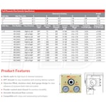 Ingersoll Rand 49124407-N