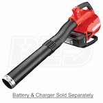 Shindaiwa (by ECHO)  EB6000 56-Volt Lithium-Ion Cordless Blower Kit (With 2 Batteries & 1 Charger)