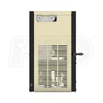 Ingersoll Rand DB31ECA100G